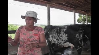 Miniatura do vídeo