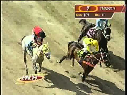 Resumen Sábado, 15 de Febrero de 2014 - La Rinconada