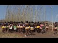 Young Women Dance To The Zulu King To Celebrate Virginity
