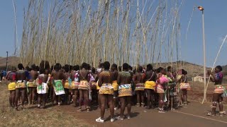 Young women dance to the Zulu king to celebrate vi