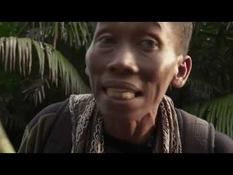 E01 05  Big Five Asien  Die Nashörner