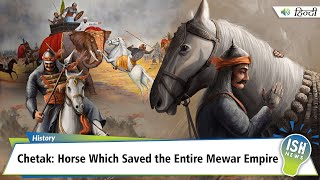 Chetak: Horse Which Saved the Entire Mewar Empire