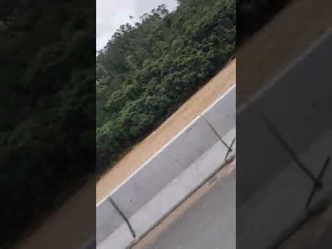 Apiúna santa Catarina