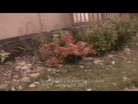 Real Fairy Caught On Camera, Strange Troll Hobbit Monster | Real OR Fake ?