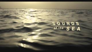                الوثائقي (صوت البحر) إبحار في الموروث الغنائي البحري