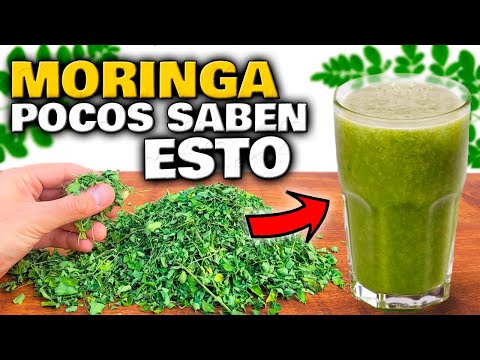 This plant is pure gold for your health | Moringa benefits and properties | What is Moringa good ...