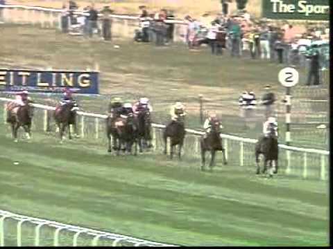 1991 St Leger - Toulon
