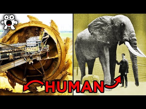 The Biggest Things In The World