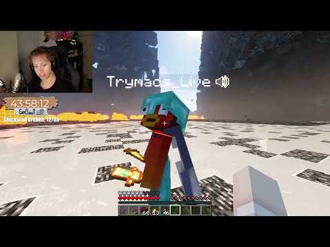 Hugo BAUT TRYMACS XXL WAND AB (für 200 EURO)