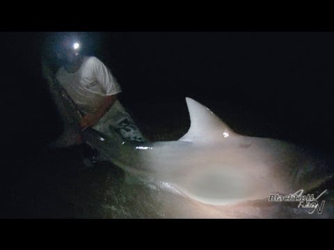 Monster Bull Shark! - ft. InfinityFishingTeam