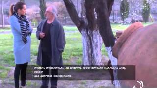 ტურისტი / The Tourist / მეოთხე სეზონი / ლიტვა-7 / Lithuania-7 /29 05 2015