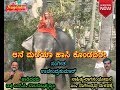 Anne Maleya Hassikulitavare Mahadeva Madeshwara ಸ್ವಾಮಿ ಆನೆ ಮಲೆಯಾ ಹಾ�