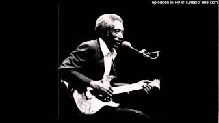 Bad Luck And Trouble (Live in Chicago)- R.L Burnside