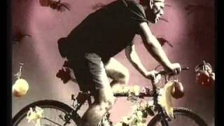 dna - la serenissima (full clip)