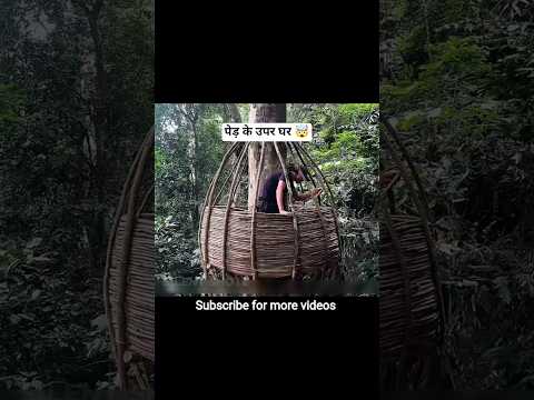 Man Builds an Incredible Tree Shelter 10 Meters Above Ground | Survival Skills in the Wild#tweening