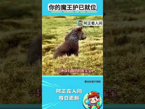 你的魔王护已就位