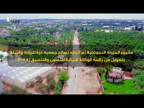 المزرعة النموذجية