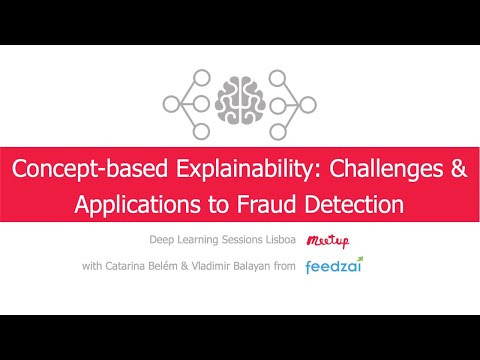 Concept-based Explainability: Challenges & Applications to Fraud Detection | Catarina & Vladimir