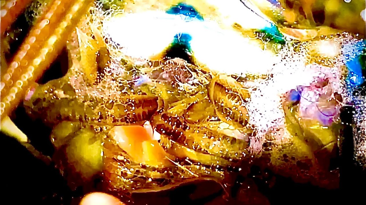 POOR MAN’S PROTEIN