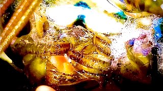 POOR MAN’S PROTEIN