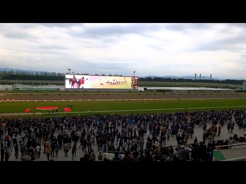 マイルチャンピオンシップ降着なく、悲喜こもごもの京都競馬場、現地映像、2016年11月20日。