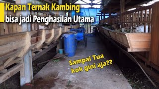 Download lagu Cara Tepat peternakan kambing menjadi penghasilan utama yang besar dan gajian tiap hari mp3 Download lagu Cara Tepat peternakan kambing menjadi penghasilan utama yang besar dan gajian tiap hari mp3