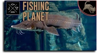 [Fishing Planet] Episode 11 - Landing a 53 pound TOP 50 Lake Sturgeon (Twitch VOD)