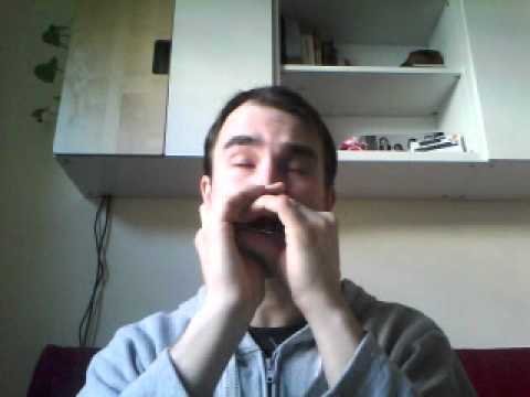 Juraj Schweigert - Take the a train - diatonic harmonica