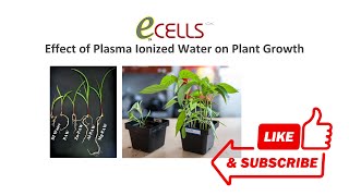 eCells Solving Challenges in Agriculture