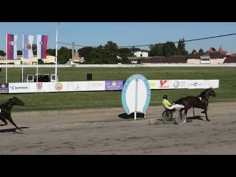 Trka "Luna d'Asolo" 15.09.2019 Quick Road - Aleksandar Radovanović