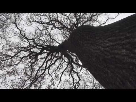 Metallica-Escape(FullCover)