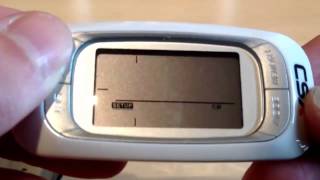 Einstellung des CSX Schrittzählers P381