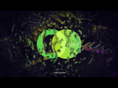 Amir Telem - Let Down Everyone (Original Mix) // Area Verde