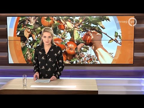 GLD Nieuws 25 oktober 2019 - Vrijdag 25 oktober