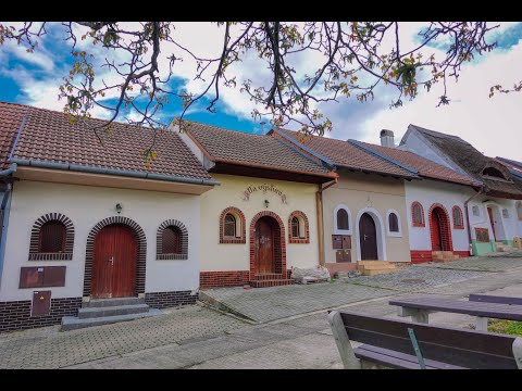 Po kobylských uličkách za vínem 2025