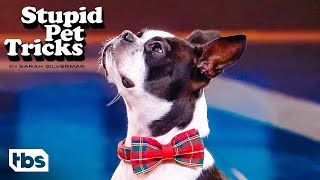This Dog Knows How To Read (Clip) | Stupid Pet Tricks | TBS