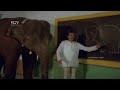 Elephant And Monkey Comes To School In Search Of Vishnuvardhan S Son Jayasimha Kannada Movie Part 7