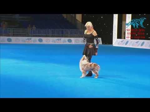 FCI Dog dance World Championship 2016 –Freestyle final - Uta Opel and Dexter (Germany)