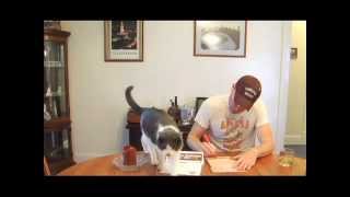 Dear The Cleveland Browns...