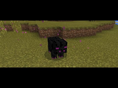Jonaseyyy - Minecraft bedwars mit einem cursed texture pack
