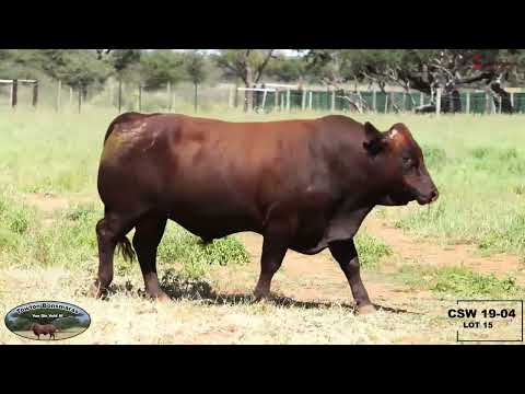 Lot 15 (CSW 19 - 04)