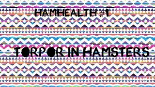 HamHealth #1 | Torpor In Hamsters