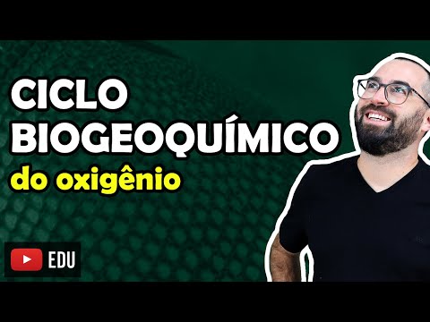 Biogeochemical Cycle of Oxygen - Class 07 - Module VIII: Ecology | Prof. Gui