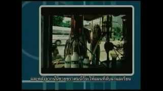 M2M In Krabi, Thailand: The Making Of &quot;What You Do About Me&quot;