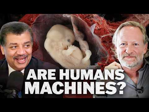 Warum hat das Universum Leben erschaffen? Mit David Krakauer