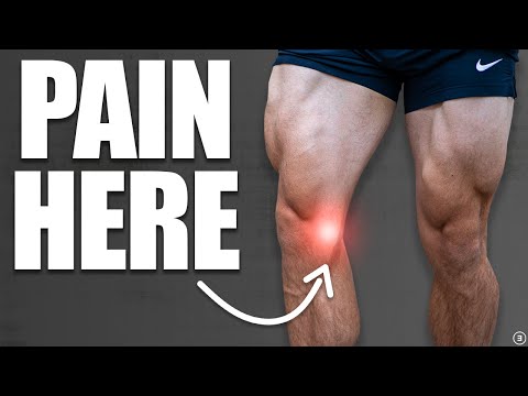 내측측부인대 Medial Collateral Ligament - : 최신 백과사전, 뉴스, 리뷰 및 연구 내측측부인대 Medial Collateral Ligament - : 최신 백과사전, 뉴스, 리뷰 및 연구