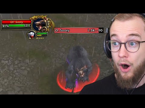 1 Life Rogue vs HIGH Level Elite!?