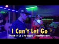 I Can't Let Go | Air Supply | Sweetnotes Live