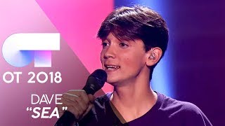 "SEA" - Dave | Gala 0 | OT 2018