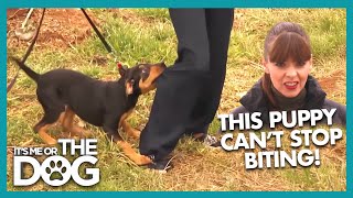 Thumbnail del capítulo